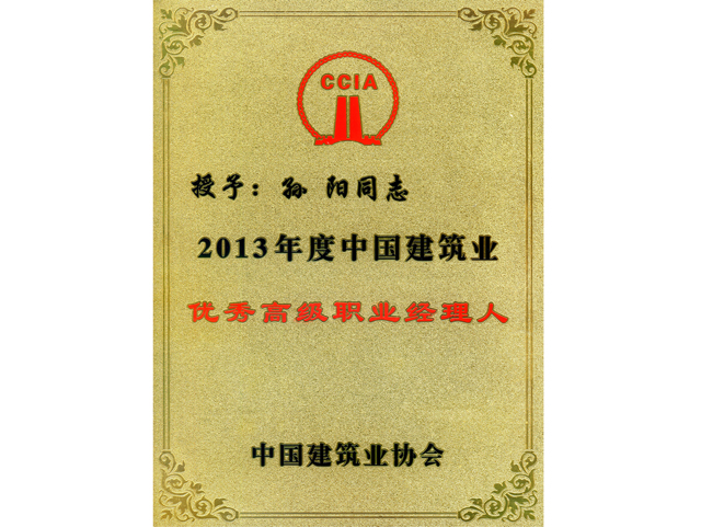 2013年度中国建筑业优秀高级职业经理人